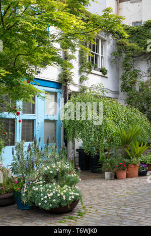 Case e piccoli alberi e arbusti in contenitori in Bathurst Mews, Hyde Park Station Wagon, Bayswater, Londra, Inghilterra Foto Stock