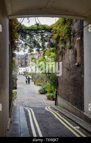 Case e piccoli alberi e arbusti in contenitori in Bathurst Mews, Hyde Park Station Wagon, Bayswater, Londra, Inghilterra Foto Stock