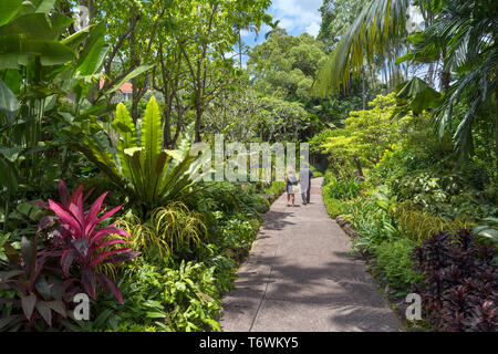 Singapore Botanic Gardens. Percorso attraverso il National Orchid Garden, Singapore Botanic Gardens, Singapore Foto Stock