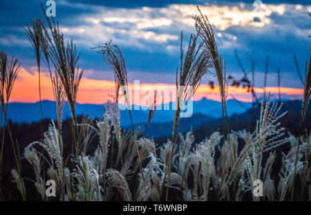 Tramonto su picchi su Blue Ridge Mountains intervallo strati Foto Stock