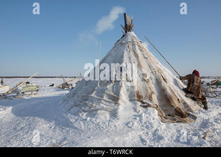 Russia, Yamal-Nenets Regione autonoma, penisola di Yamal, Nenets reindeer herders presso il camp Foto Stock