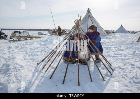 Russia, Yamal-Nenets Regione autonoma, penisola di Yamal, Nenets reindeer herders presso il camp Foto Stock