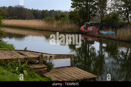 Abbandonate e barche circondato da canneti e alberi sul fiume scafo con marciume jetty al fianco di suina ormeggiare di Beverley, Yorkshire, Regno Unito. Foto Stock