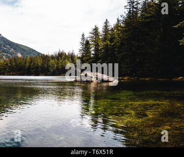 Lago Verde (Grüner vedere) di Bruck an der Mur, Stiria, Austria Foto Stock