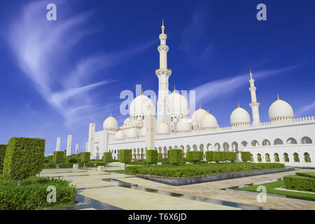 Sheikh Zayed Grande Moschea di Abu Dhabi, Emirati arabi uniti Foto Stock