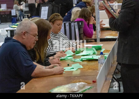 Brentwood Essex 2 maggio 2019 schede di voto vengano conteggiati guardato da parte degli agenti di conteggio UK elezioni locali Credito: Ian Davidson/Alamy Live News Foto Stock