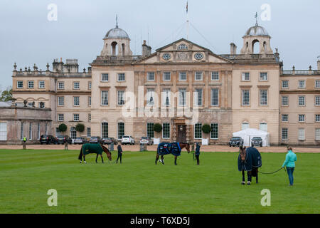 Badminton, Gloucestershire, Regno Unito, 3 maggio 2019, cavalli pascolano nella parte anteriore del Badminton davanti il giorno 2 del 2019 Mitsubishi Motors Badminton Horse Trials, Credito: Jonathan Clarke/Alamy Live News Foto Stock