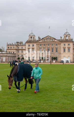 Badminton, Gloucestershire, Regno Unito, 3 maggio 2019, cavalli pascolano nella parte anteriore del Badminton davanti il giorno 2 del 2019 Mitsubishi Motors Badminton Horse Trials, Credito: Jonathan Clarke/Alamy Live News Foto Stock