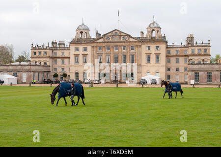 Badminton, Gloucestershire, Regno Unito, 3 maggio 2019, cavalli pascolano nella parte anteriore del Badminton davanti il giorno 2 del 2019 Mitsubishi Motors Badminton Horse Trials, Credito: Jonathan Clarke/Alamy Live News Foto Stock