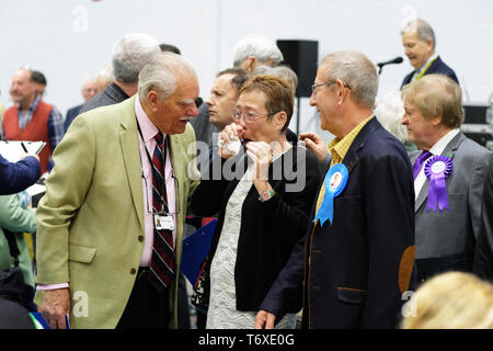 Hereford, Herefordshire, England, Regno Unito - Venerdì 3 maggio 2019 - un candidato conservatore reagisce come risultati iniziano a venire a - Conteggio avviato alle ore 9.30 il venerdì mattina dopo le elezioni locali ha avuto luogo in Herefordshire ieri per entrambi Herefordshire Consiglio e il consiglio della città. I sondaggi hanno preso posto per 248 inglese consigli, sei sindaci e tutti i 11 consigli in Irlanda del Nord. Credito: Steven Maggio/Alamy Live News Foto Stock