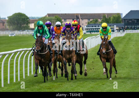 Musselburgh, East Lothian, Scozia, Regno Unito. Il 3 maggio, 2019. Appartamento Horse Racing : 14.55 Weatherbys stallone Prenota gara di Handicap. La corsa dei cavalli lungo il rettilineo primo tratto con foresta Coolagh cavalcato da Paolo Hanagan il vincitore identificato da una maglia di colore viola con le stelle Foto Stock