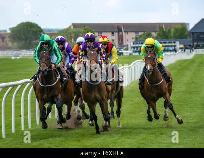 Musselburgh, East Lothian, Scozia, Regno Unito. Il 3 maggio, 2019. Appartamento Horse Racing : 14.55 Weatherbys stallone Prenota gara di Handicap. La corsa dei cavalli lungo il rettilineo primo tratto con foresta Coolagh cavalcato da Paolo Hanagan il vincitore identificato da una maglia di colore viola con le stelle Foto Stock