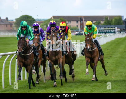 Musselburgh, East Lothian, Scozia, Regno Unito. Il 3 maggio, 2019. Appartamento Horse Racing : 14.55 Weatherbys stallone Prenota gara di Handicap. La corsa dei cavalli lungo il rettilineo primo tratto con foresta Coolagh cavalcato da Paolo Hanagan il vincitore identificato da una maglia di colore viola con le stelle Foto Stock