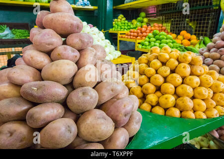 Patate nel supporto vegetale Foto Stock