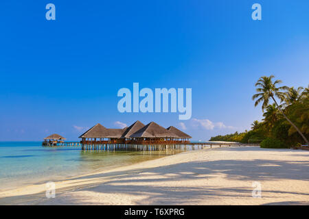 Cafe sulla tropicale Isola Maldives Foto Stock