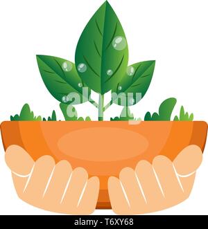 Illustrazione di mani tenendo le piante illustrazione vettore su sfondo bianco Illustrazione Vettoriale