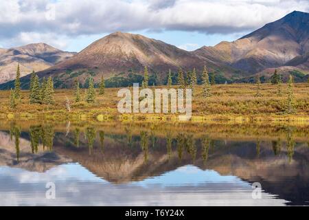 Autunnale paesaggio tundral riflessa nel lago, Alaska Range, Central Alaska, Alaska, STATI UNITI D'AMERICA Foto Stock