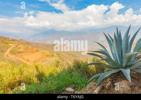 Vista panoramica del Chicamocha Colombia canyon Foto Stock