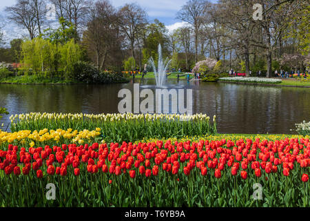 Fiori nel giardino keukenhof olanda Foto Stock