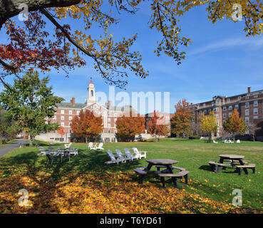 Radcliffe quadrangolo, Harvard University, in autunno. Cupola rossa, torre bianca, edifici in mattoni, cielo blu, verde erba, sedie in legno, foglie di autunno… Foto Stock