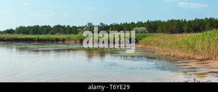 In estate il lago di iodio, Ucraina Foto Stock