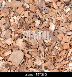 La foto perfetta modello di talee di legno. Può essere utilizzato per la texture progetti di design o di giochi. Buona per la pubblicità. Foto Stock