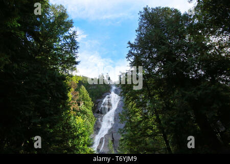 Cascate Shannon parco provinciale Foto Stock