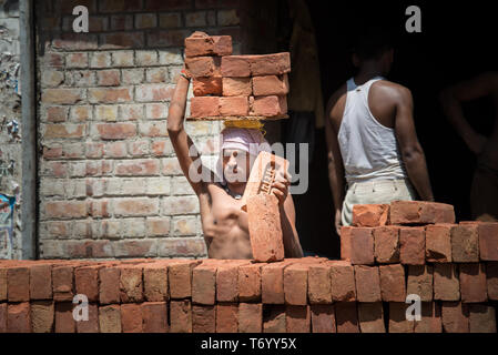 Uomo con mattoni india Foto Stock
