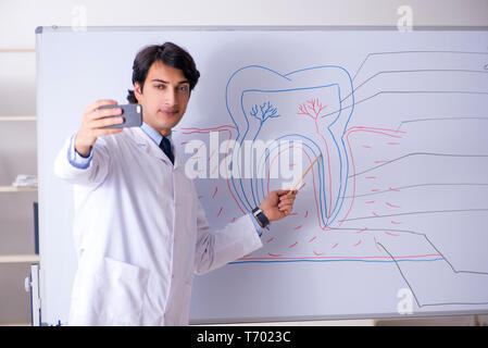 Giovane bello dentista di fronte alla lavagna Foto Stock