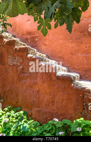 Passi sulla parete di un giardino Foto Stock