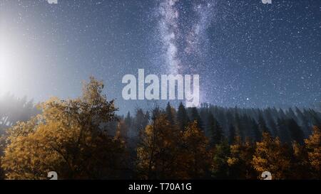 Via Lattea stelle con moonlight al di sopra di foresta di conifere Foto Stock