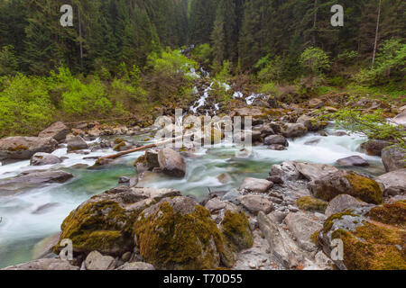 Flussi di foresta in montagna a molla Foto Stock