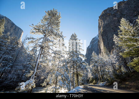 Inverno nel Parco Nazionale di Yosemite Foto Stock