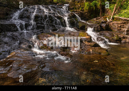 Le Fairy Falls cascate all Trefriw, Snowdonia, il Galles del Nord Foto Stock