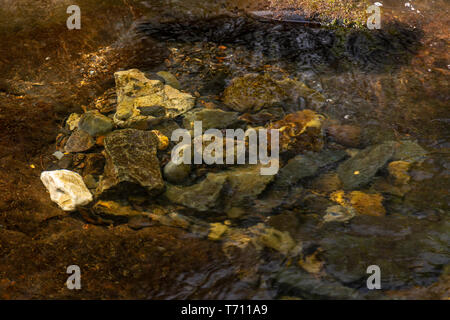 Le Fairy Falls cascate all Trefriw, Snowdonia, il Galles del Nord Foto Stock