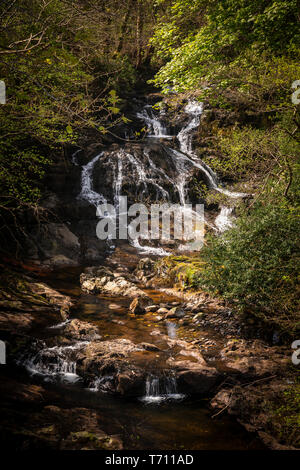 Le Fairy Falls cascate all Trefriw, Snowdonia, il Galles del Nord Foto Stock