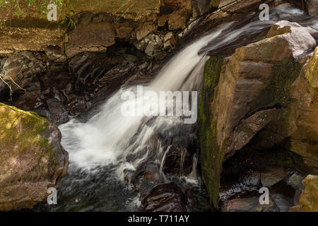 Le Fairy Falls cascate all Trefriw, Snowdonia, il Galles del Nord Foto Stock