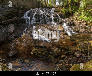 Le Fairy Falls cascate all Trefriw, Snowdonia, il Galles del Nord Foto Stock