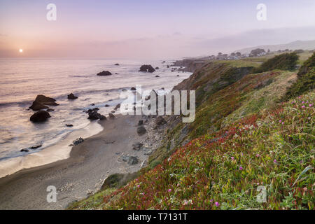 Tramonto sulla roccia arcuata spiaggia vicino Bodega Bay Foto Stock