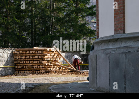 Irriconoscibile l uomo al lavoro impilando il legno legname tagliato alberi per essere utilizzati nelle costruzioni Foto Stock