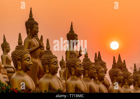 Golden Buddha , Wat Phu Salao, Paksè, Laos, Indocina, Asia sud-orientale, Asia Golden Statue di Buddha , Wat Phu Salao, Paksè, Laos, Indocina, a sud-est di un Foto Stock