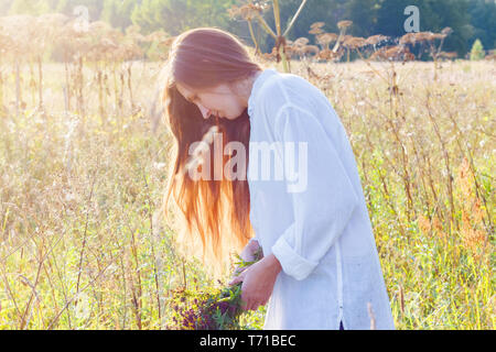 Ragazza raccoglie fiori selvatici ed erbe aromatiche Foto Stock