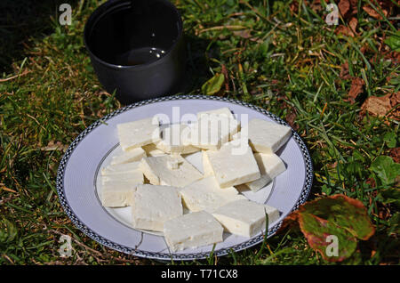 Preparate di fresco formaggio di capra è fatti a mano su un round piastra bianca accanto al nero di una tazza di tè in piedi sull'erba sotto i raggi del sole. Foto Stock