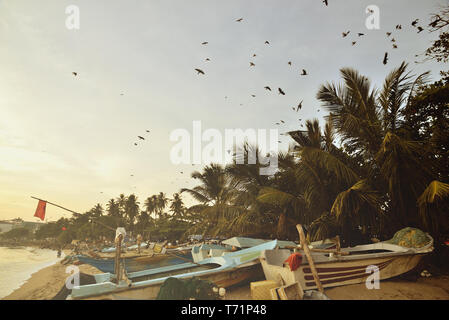 Barche da pesca in Sri Lanka Foto Stock