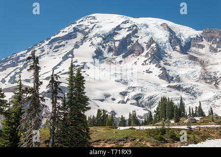 La cima del monte Rainier nello stato di Washington contro un luminoso Cielo di estate blu. Foto Stock