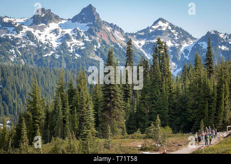 Alberi sempreverdi crescere grandi contro viste sulla montagna in Mt Rainier National Park nello stato di Washington. Foto Stock