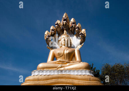 Tha Ton Thailandia, Buddha gigante seduto sotto sette teste naga al wat Tha Ton Foto Stock