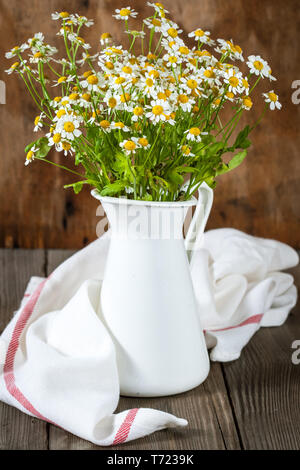 Bouquet di margherite. Piretro Foto Stock