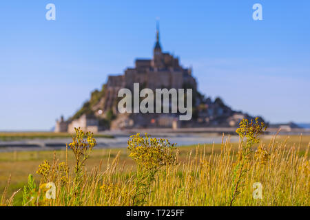 Mont Saint Michel Abbey - Normandia Francia Foto Stock