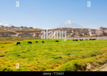 Rurale scena nel quartiere Socabaya Arequipa Perù Foto Stock